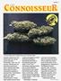 Page: - 55 | High Times