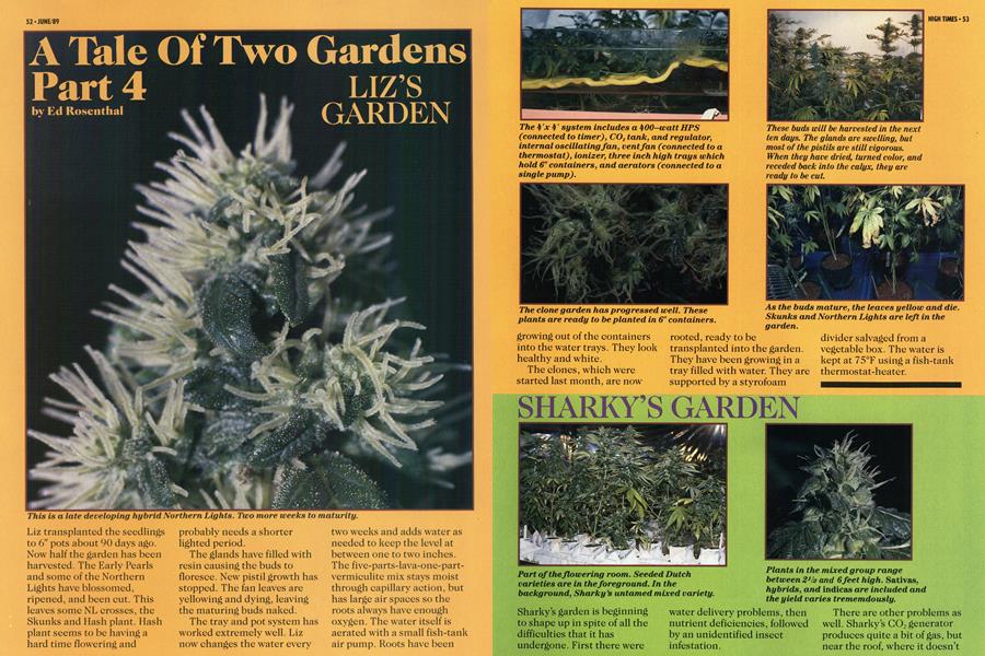 A Tale Of Two Gardens Part 4