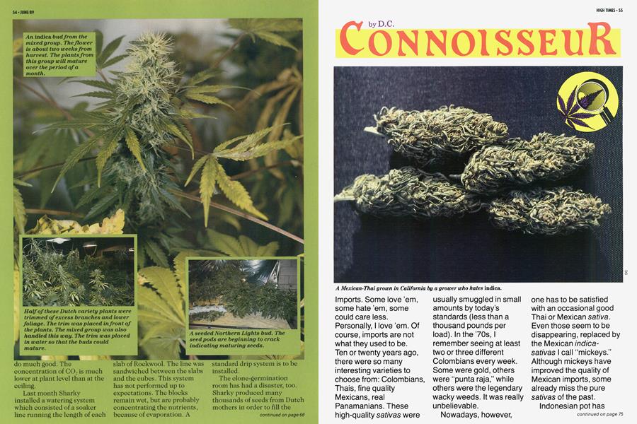 CONNOISSEUR