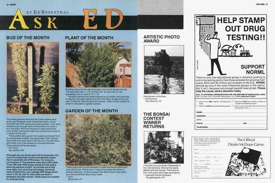 ASK ED