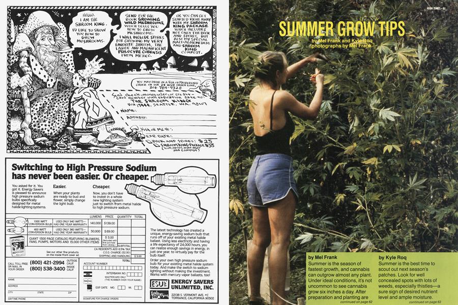 SUMMER GROW TIPS