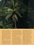 Page: - 39 | High Times
