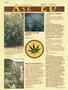 Page: - 54 | High Times