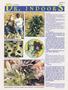 Page: - 55 | High Times
