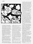 Page: - 66 | High Times