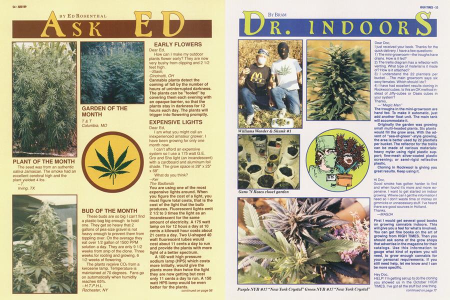 ASK ED