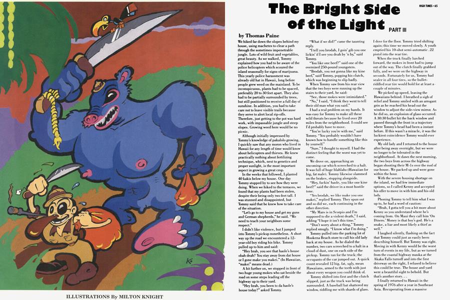 The Bright Side of the Light PART III
