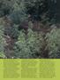 Page: - 49 | High Times