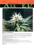 Page: - 54 | High Times