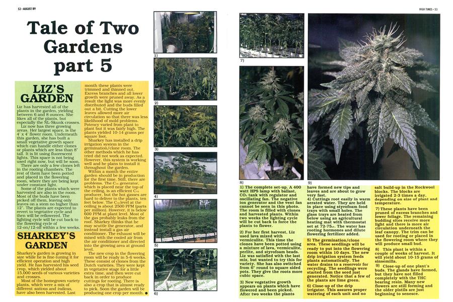 Tale of Two Gardens part 5