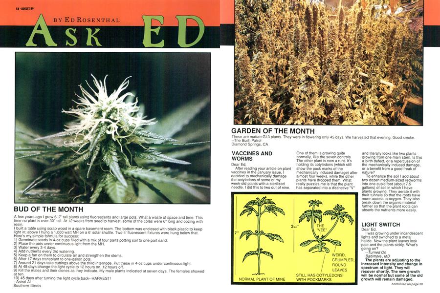 ASK ED