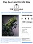 Page: - 56 | High Times