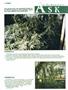 Page: - 62 | High Times