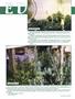 Page: - 63 | High Times