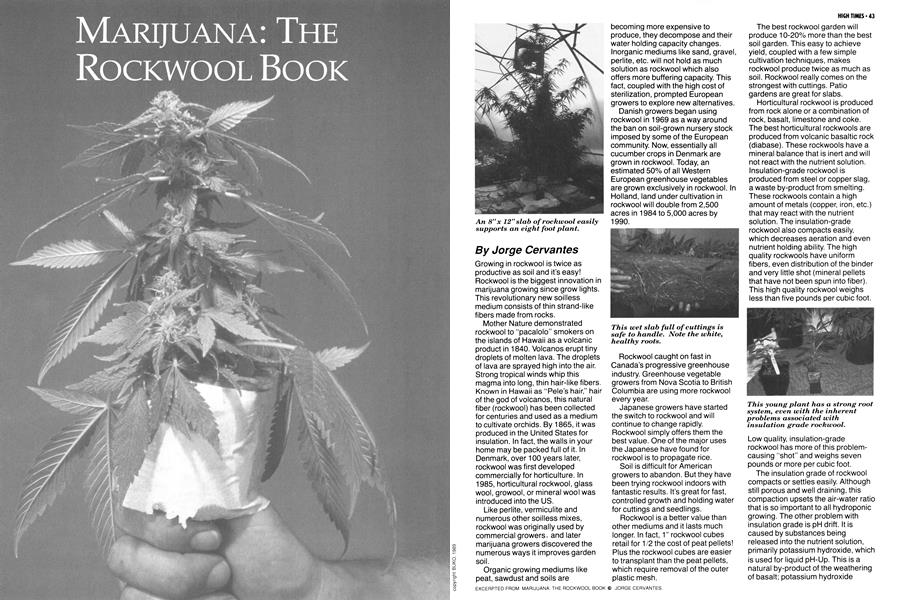 MARIJUANA: THE ROCKWOOL BOOK