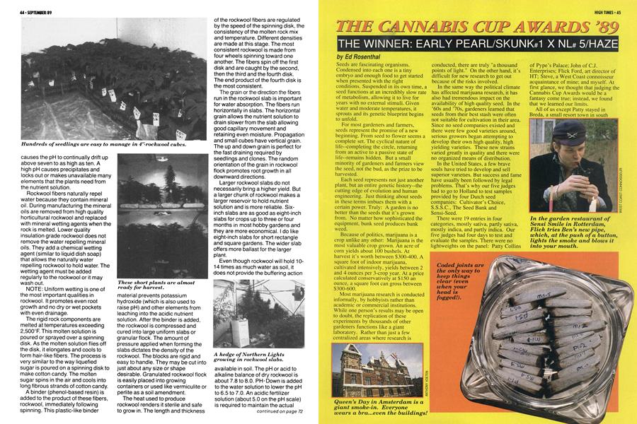 THE CANNABIS CUP AWARDS '89