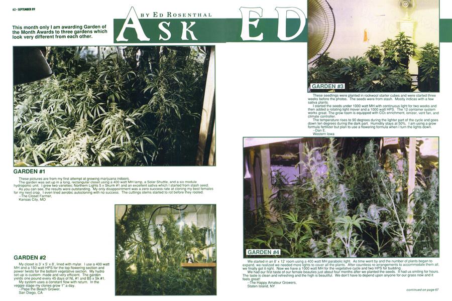 ASK ED