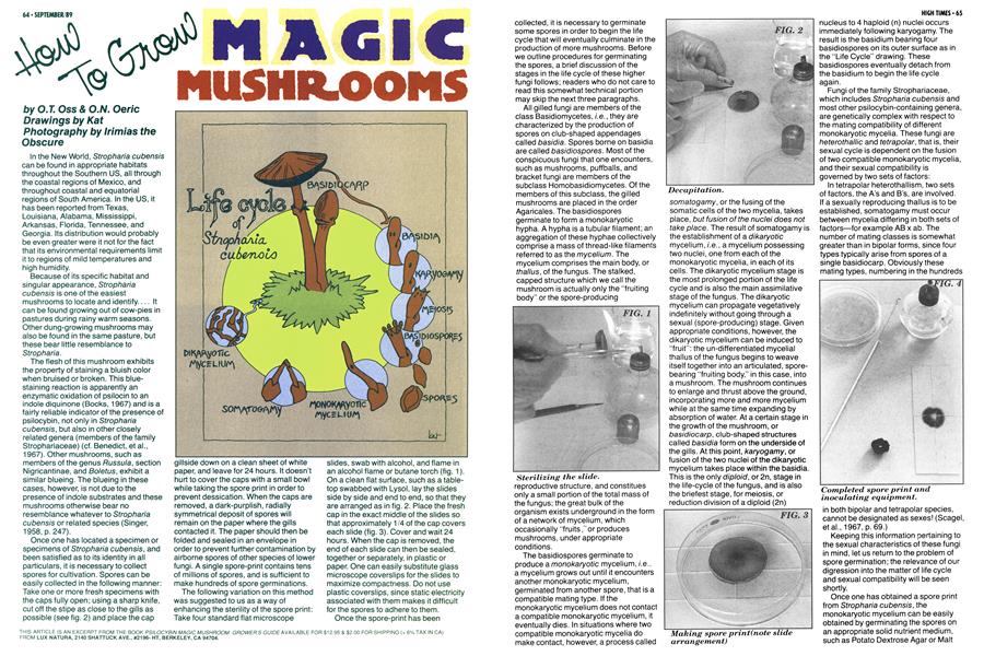 How To Grow MAGIC MUSHROOMS