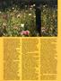 Page: - 47 | High Times