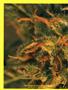 Page: - 50 | High Times