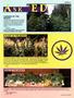 Page: - 55 | High Times