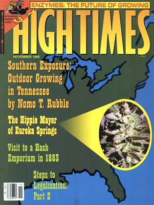 NOVEMBER 1989 | High Times