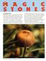 Page: - 38 | High Times