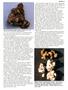 Page: - 39 | High Times