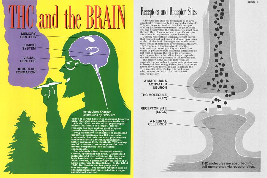 THC and the BRAIN