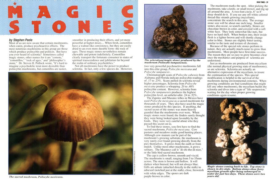 MAGIC STONES