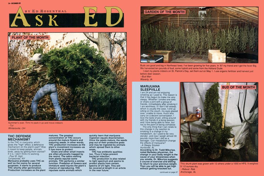 ASK ED
