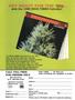 Page: - 18 | High Times