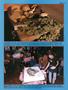 Page: - 39 | High Times