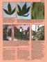 Page: - 49 | High Times