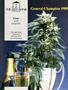 Page: - 17 | High Times