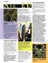Page: - 50 | High Times