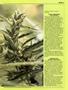Page: - 39 | High Times