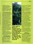 Page: - 41 | High Times