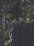 Page: - 42 | High Times