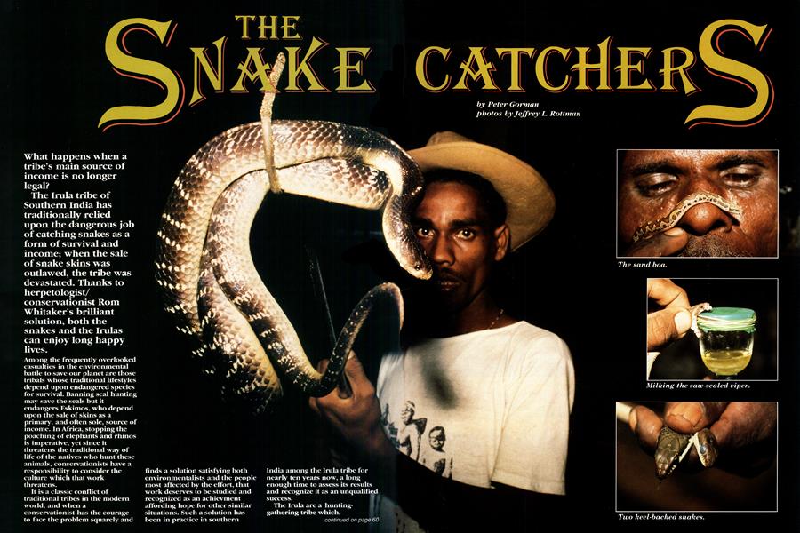 THE SNAKE CATCHERS
