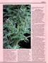 Page: - 39 | High Times