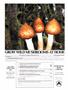 Page: - 4 | High Times