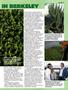 Page: - 45 | High Times