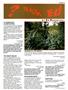 Page: - 49 | High Times