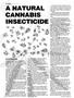 Page: - 60 | High Times