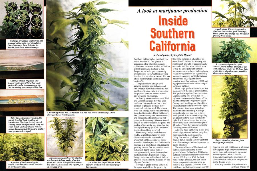Inside Southern California