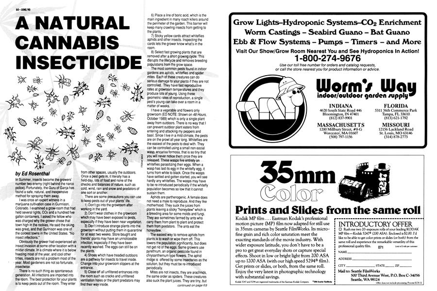 A NATURAL CANNABIS INSECTICIDE