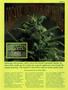 Page: - 47 | High Times