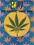 Page: - 73 | High Times