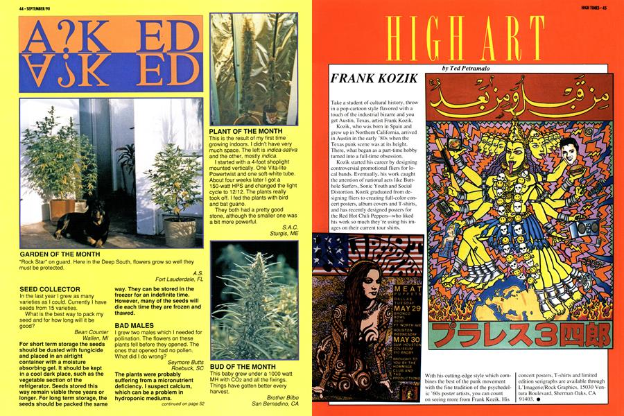 HIGH ART